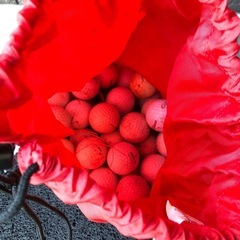 ゴルフボール中古　50個くらい？の画像