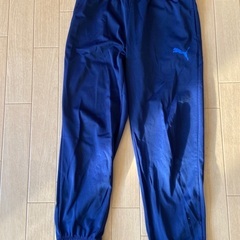 PUMAジャージ(140センチ)の画像