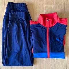 PUMAジャージ(140センチ)