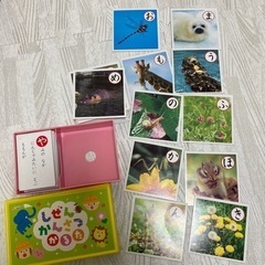 かるた/しぜんかんさつの画像