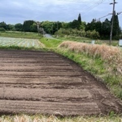 農地から霧島連峰が見えるので作業中も見晴らし良いです