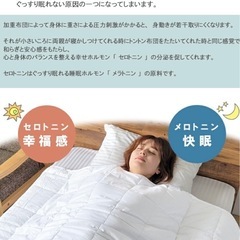 加重布団 シングル 6kgの画像