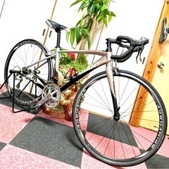 [格安特価] GIANT DEFY 超軽量ロ-ドバイク.アルミ＋...