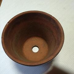植木鉢　5号Ｘ5個の画像