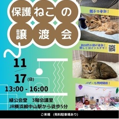 11月17日　保護猫の譲渡会　in 緑公会堂