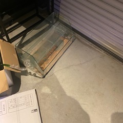アクアポニックス水槽　　水耕栽培