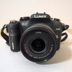 🍎Panasonic LUMIX G2 DMC-G2 レンズキット