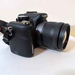 🍎Panasonic LUMIX G2 DMC-G2 レンズキットの画像