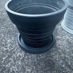 観葉植物 鉢 6つの画像