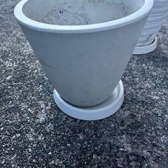 観葉植物 鉢 6つの画像