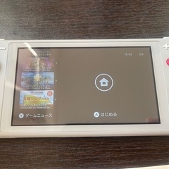 掲載明日まで《Switch》スイッチライト ザシアン・ザマゼンタ 2019年製の画像