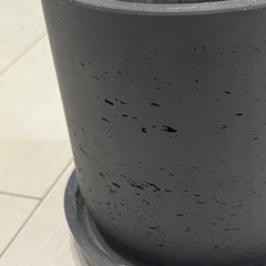 モルタル　プランター　6号　直径18cm 受け皿付きの画像