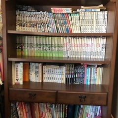 ディズニー使用の可愛い本棚です