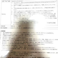 飛行機　チケット