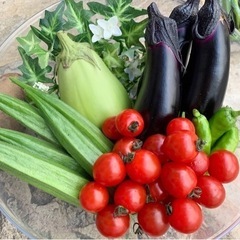 秋野菜セット（２）