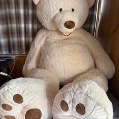 真作/川上孤山/妙心寺/塔頭春光院住職/達磨画賛/布袋屋掛軸HI-696