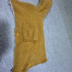 犬　お洋服とリードとハーネス