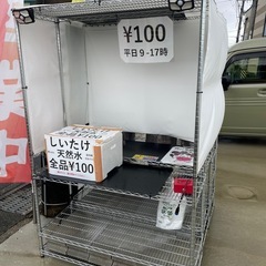 しいたけ100g