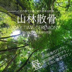 サイトリニューアルに新価格！！あなたは、どの山林散骨プランを選び...
