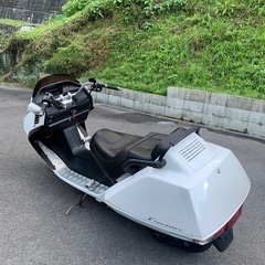 ★フュージョンX再販最終　パール　扁平タイヤ★の画像