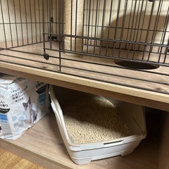 猫ちゃんのゲージ
の画像