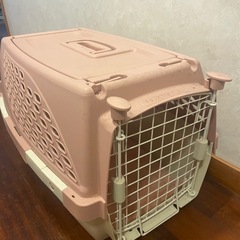 小型犬ゲージ