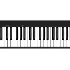11月まで【MIDIキーボード】NEKTAR ( ネクター ) ...
