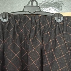 冬用スカートの画像