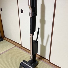 アイリスオオヤマの掃除機　の画像