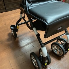 極美品　シルバーカーの画像