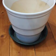 陶器製　鉢植え　皿付き