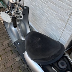 ビーノの画像