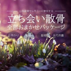 お参りにも行ける山林散骨【立ち会い散骨プラン】