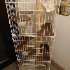 キャットゲージ3段