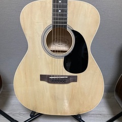 アコースティックギター　プレイテック　ZS18N ハードケース付...