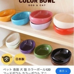 ペットのことだけを考えた食器【定価3000円超】