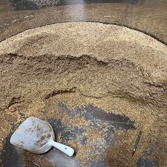 クラフトビールを醸造した際に出た麦芽カスの画像