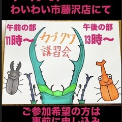 ✨わいわい市藤沢店✨チャリティーメダカすくい🐟&カブトクワガタ飼...