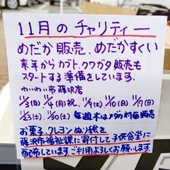 ✨わいわい市藤沢店✨チャリティーメダカすくい🐟&カブトクワガタ飼育講習会イベント開催‼️ - イベント
