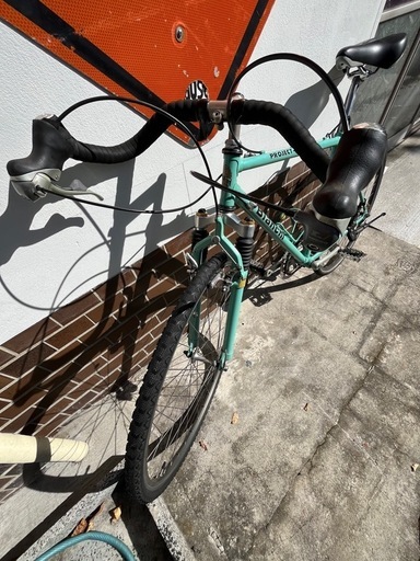 Bianchi PROJECT-1 