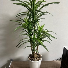 フェイクグリーン