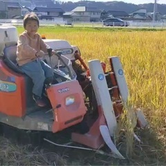 ライオンの隠れ家、環境整備にお手伝いして欲しいです