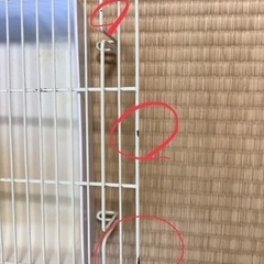 うさぎちゃん　飼育セット　中古！の画像