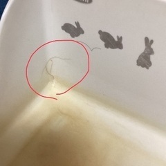 うさぎちゃん　飼育セット　中古！の画像
