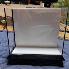 めだか 選別ケース  メダカの画像