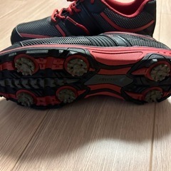 ゴルフシューズ25.5cm 　シューズ袋adidasおまけ付き の画像