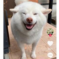お困りごとを一緒に解決しましょう