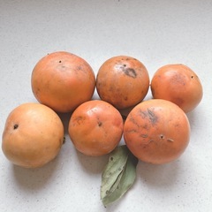 甘柿6こ(800g)