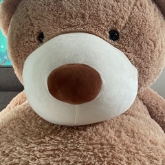 とにかく大きなクマのぬいぐるみの画像