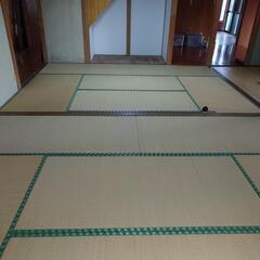 タタミの画像